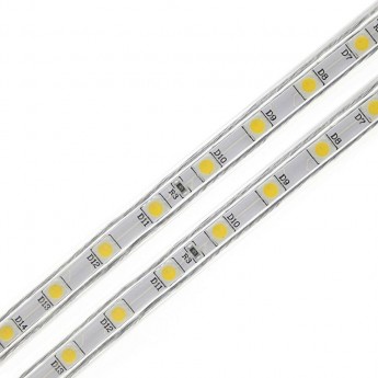 Светодиодная лента ECOLA LED strip STD 4,8W/m 12V IP20 8mm 60Led/m, синяя, на катушке 5м.